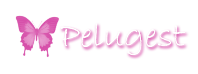 software peluqueria · estetica y peluqueria